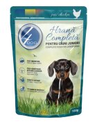 4DOG Junior XS-XL Pui plic hrană umedă câini junior (în sos) 100g