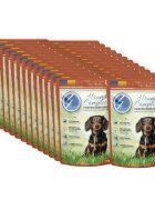 4DOG XS-XL Pui plic hrană umedă câini (în sos) bax 100g x 24buc