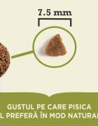 Acana First Feast Junior hrană uscată pisici junior 1.8kg