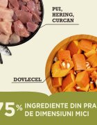 Acana First Feast Junior hrană uscată pisici junior 1.8kg
