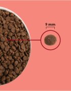 Acana High Protein Indoor Pui și Somon hrană uscată fără cereale pisici 4.5kg