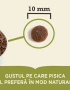 Acana Highest Protein Grasslands Rață și Pui hrană uscată fără cereale pisici 1.8kg