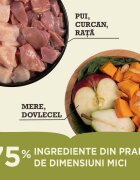 Acana Highest Protein Grasslands Rață și Pui hrană uscată fără cereale pisici 1.8kg