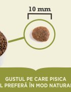 Acana Highest Protein Pacifica Pește hrană uscată fără cereale pisici 1.8kg