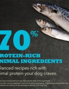 Acana Highest Protein Pacifica XS-XL Hering și Macrou hrană uscată fără cereale câini 2kg