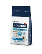 Advance Adult Maxi L-XL Pui hrană uscată câini 14kg