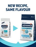 Advance Kitten Pui hrană uscată pisici junior 1.5kg