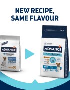 Advance Mini Adult XS-S Pui hrană uscată câini 7kg