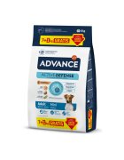 Advance Mini Adult XS-S Pui hrană uscată câini 7kg + 1kg GRATUIT
