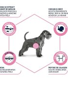 ADVANCE VETERINARY DIETS Atopic Derma Care XS-XL Curcan dietă veterinară plic hrană umedă câini piele & blană (în aspic) bax 150g x 8buc