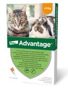 Advantage Pisica/Iepure 40 < 4 kg 4 pipete