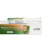 adVET BenzoActiv supliment sistem digestiv limitarea ghemurilor de blană pisici pastă orală BenzoActiv supliment sistem digestiv limitarea ghemurilor de blană pisici flacon cu aplicator 20ml pastă orală