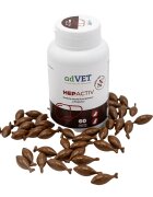 adVET HepActiv Twist Off supliment sistem hepatic câini capsule HepActiv Twist Off XS-XL supliment sistem hepatic câini și pisici flacon 60 capsule