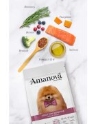 AMANOVA Adult Mini Sensitive XS-S Somon hrană uscată monoproteică fără cereale câini piele & blană sistem digestiv 7kg
