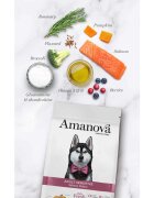 AMANOVA Adult Sensitive XS-XL Somon hrană uscată monoproteică fără cereale câini piele & blană sistem digestiv 2kg