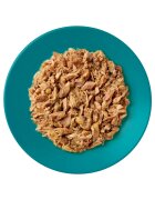 Applaws Pește conservă hrană umedă pisici (în supă) 70g