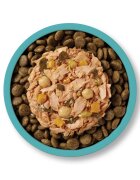 Applaws Taste Toppers XS-XL Ton și dovleac plic hrană umedă fără cereale câini (în supă) 85g