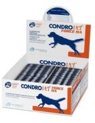 Bioiberica CondroVet Force HA 500 comprimate