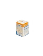 Bioiberica Prolivet Large Dogs supliment sistem hepatic câini comprimate Prolivet Large Dogs L-XL supliment sistem hepatic câini flacon 30 comprimate