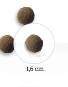 BON APPETIT XS-XL Miel și Somon hrană uscată câini alergii 12kg