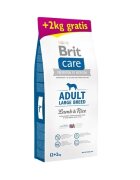 Brit Care Adult Large Breed L-XL Miel cu Orez hrană uscată câini 12kg+2kg GRATUIT