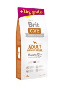 Brit Care Adult Medium Breed M Miel cu Orez hrană uscată câini 12kg+2kg GRATUIT