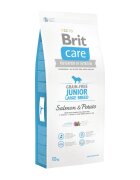 Brit Care Junior Large Breed L-XL Somon cu Cartofi hrană uscată fără cereale câini junior 12kg