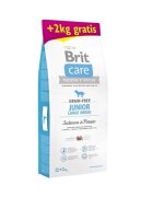 Brit Care Junior Large Breed L-XL Somon cu Cartofi hrană uscată fără cereale câini junior 12kg+2kg GRATUIT