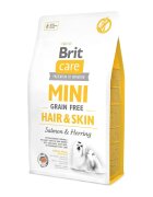Brit Care Mini Hair & Skin Adult XS-S Somon hrană uscată fără cereale câini piele și blană 2kg