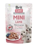 Brit Care Mini Puppy XS-S File Miel plic hrană umedă câini junior (în sos) 85g