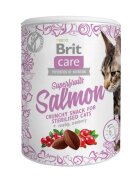 Brit Care Snack Superfruits Somon și Măceșe recompense fără cereale pisici sterilizate 100g