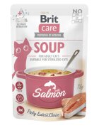 Brit Care Soup Somon plic hrană umedă fără cereale pisici apetit capricios (topping) 75g