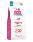 Brit Care XS-XL Somon hrană uscată fără cereale câini junior piele & blană Care Grain-Free Puppy XS-XL Somon hrană uscată fără cereale câini junior piele & blană 12kg