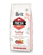 Brit Fresh Bones & Joints Junior L-XL Vită cu Dovleac hrană uscată conținut redus cereale câini junior 12kg