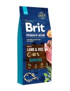 Brit Premium By Nature Sensitive Miel hrană uscată câini sensibilitați digestive 15kg