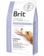 Brit Veterinary Diets BRIT VD Gastrointestinal XS-XL Hering dietă veterinară hrană uscată fără cereale câini sistem digestiv 2kg