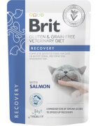 Brit Veterinary Diets BRIT VD Recovery Somon dietă veterinară plic hrană umedă fără cereale pisici convalescență (în sos) 85g