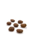 Canagan Dental Curcan hrană uscată fără cereale pisici junior & adult sensibilități dentare 1.5kg