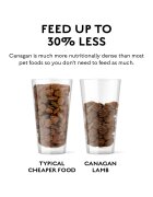 Canagan Grass Fed Lamb XS-XL Miel hrană uscată fără cereale câini junior & adult 12kg