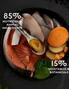 Canagan Scottish Salmon Somon hrană uscată fără cereale pisici junior & adult 4kg