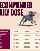 Carnilove Active Junior Large Breeds L-XL Somon și Curcan hrană uscată fără cereale câini junior 12kg
