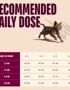 Carnilove Active Kittens Somon și Curcan hrană uscată fără cereale pisici junior 6kg