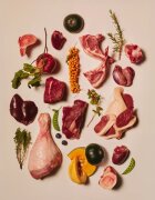 Carnilove Fazan și Zmeură plic hrană umedă fără cereale pisici (în sos) 85g