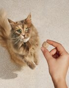 Carnilove Freeze Dried Curcan și Catnip punguță recompense monoproteice fără cereale pisici deshidratat 40g