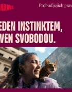 Carnilove Freeze Dried Curcan și Catnip punguță recompense monoproteice fără cereale pisici deshidratat 40g