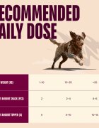 Carnilove Freeze Dried XS-XL Curcan și Somon punguță recompense fără cereale câini 60g