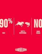 Carnilove Jerky XS-XL Miel și Somon punguță recompense fără cereale câini 100g