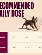 Carnilove Kittens Iepure plic hrană umedă fără cereale pisici junior (în aspic) 85g