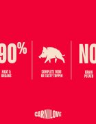 Carnilove Mistreț plic hrană umedă fără cereale pisici (în sos) bax 85g x 24buc