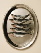 Carnilove Soft Snack Sardine punguță recompense fără cereale pisici 50g